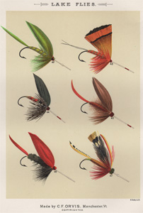 ANTIQUE PRINT OF FISHING FLIES FROM 1892